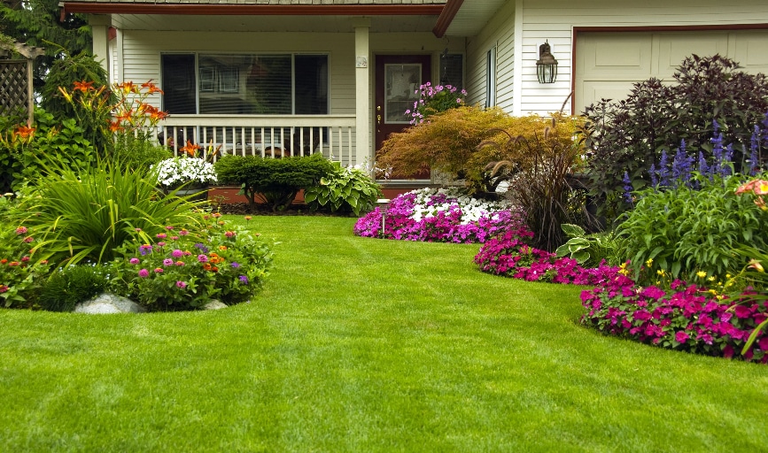 Martinez Cleaning & Landscaping